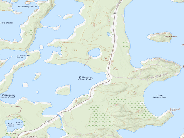 USGS topographic map of Follensby Clear Pond Site 16 (Saranac Lakes Wild Forest)