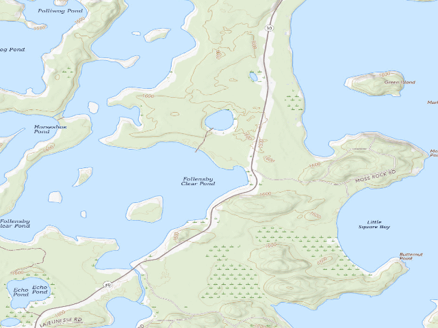 USGS topographic map of Follensby Clear Pond Site 17 (Saranac Lakes Wild Forest)