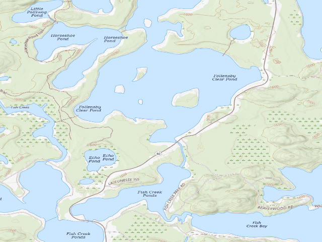 USGS topographic map of Follensby Clear Pond Site 19 (Saranac Lakes Wild Forest)