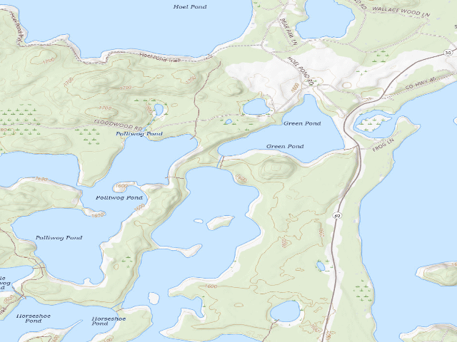 USGS topographic map of Follensby Clear Pond Site 2 (Saranac Lakes Wild Forest)