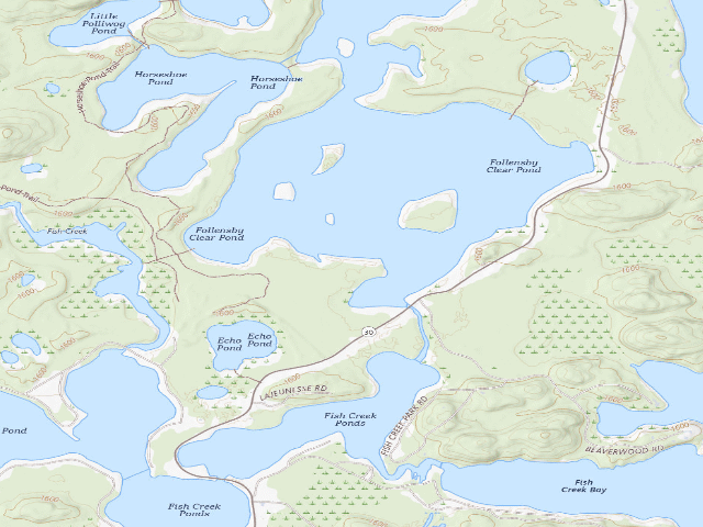 USGS topographic map of Follensby Clear Pond Site 20 (Saranac Lakes Wild Forest)