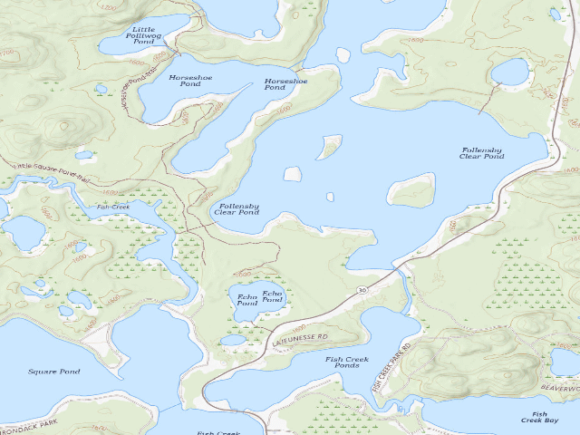 USGS topographic map of Follensby Clear Pond Site 21 (Saranac Lakes Wild Forest)