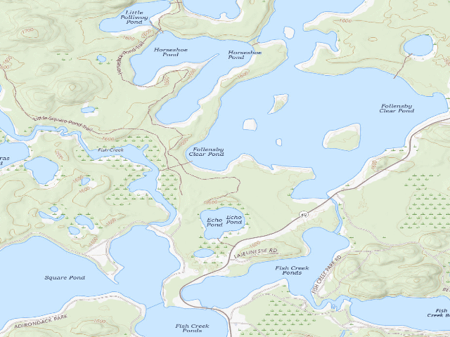 USGS topographic map of Follensby Clear Pond Site 22 (Saranac Lakes Wild Forest)