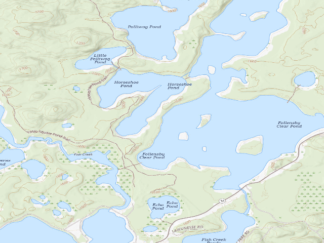 USGS topographic map of Follensby Clear Pond Site 23 (Saranac Lakes Wild Forest)