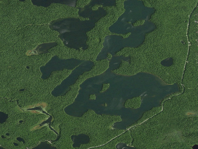 Aerial image of Follensby Clear Pond Site 24 (Saranac Lakes Wild Forest)