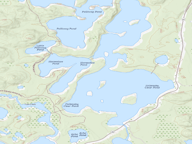 USGS topographic map of Follensby Clear Pond Site 24 (Saranac Lakes Wild Forest)