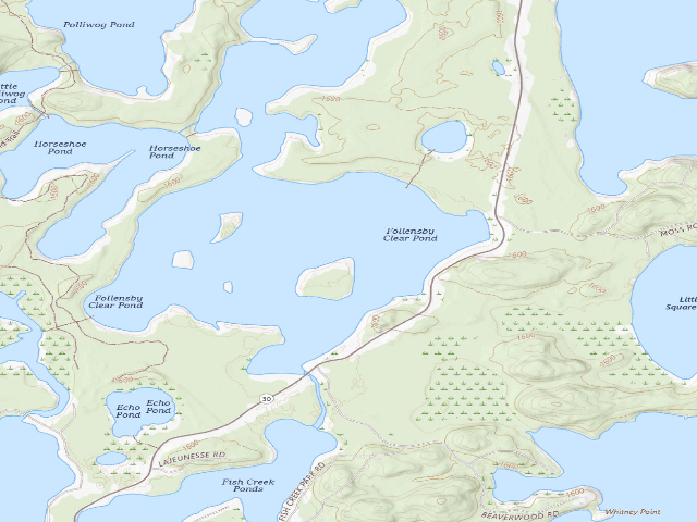 USGS topographic map of Follensby Clear Pond Site 29 (Saranac Lakes Wild Forest)