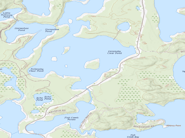 USGS topographic map of Follensby Clear Pond Site 32 (Saranac Lakes Wild Forest)