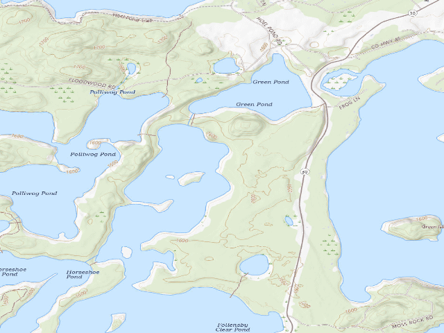 USGS topographic map of Follensby Clear Pond Site 4 (Saranac Lakes Wild Forest)
