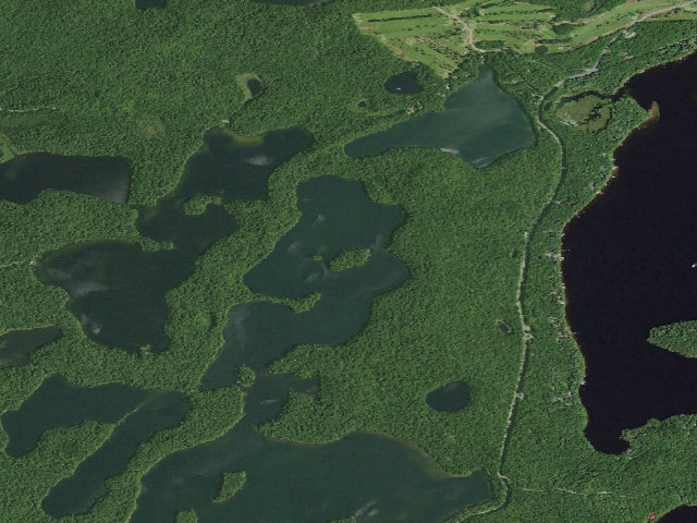 Aerial image of Follensby Clear Pond Site 5 (Saranac Lakes Wild Forest)