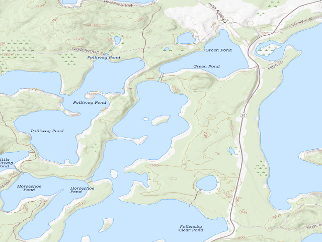USGS topographic map of Follensby Clear Pond Site 5 (Saranac Lakes Wild Forest)