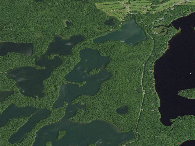 Aerial image of Follensby Clear Pond Site 6 (Saranac Lakes Wild Forest)