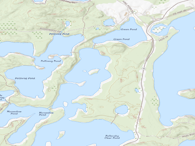 USGS topographic map of Follensby Clear Pond Site 6 (Saranac Lakes Wild Forest)