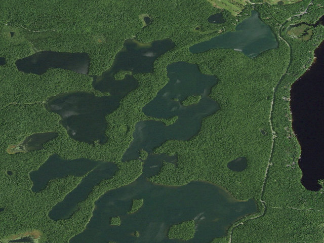 Aerial image of Follensby Clear Pond Site 7 (Saranac Lakes Wild Forest)