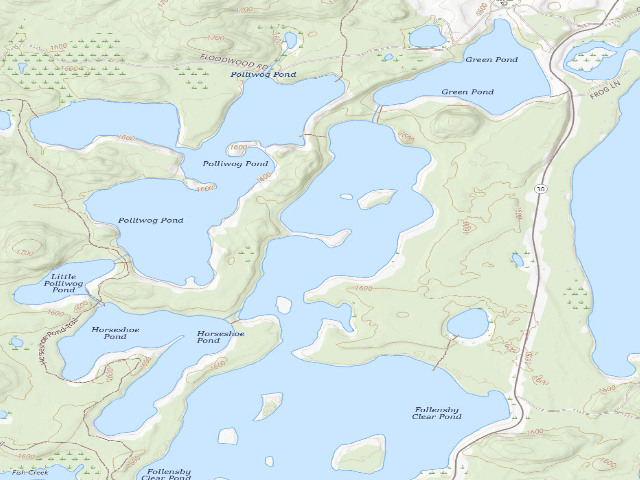 USGS topographic map of Follensby Clear Pond Site 7 (Saranac Lakes Wild Forest)