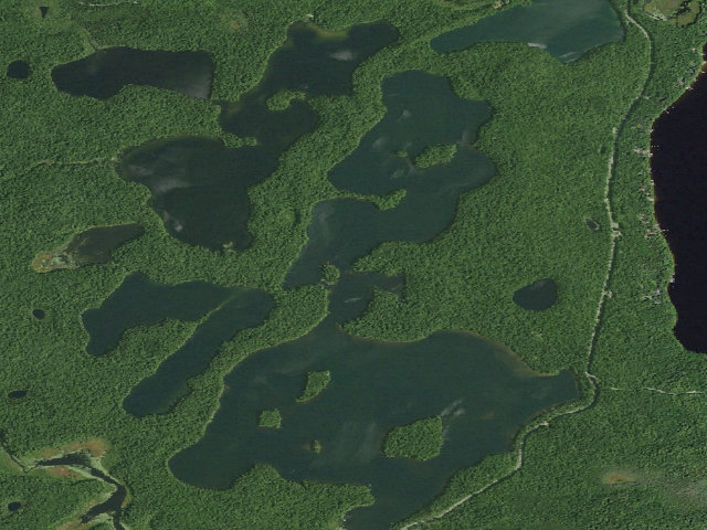 Aerial image of Follensby Clear Pond Site 8 (Saranac Lakes Wild Forest)