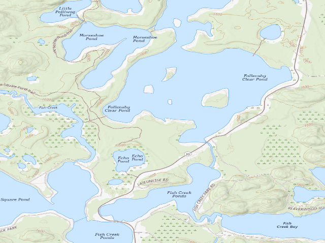 USGS topographic map of Follensby Clear Pond Site (Saranac Lakes Wild Forest)