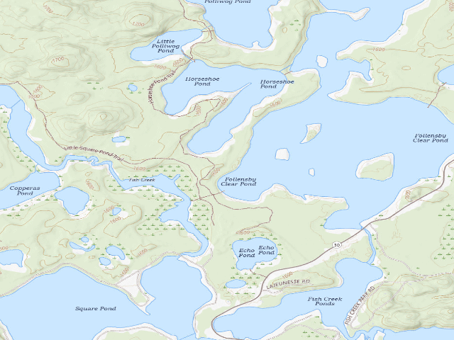 USGS topographic map of Follensby Clear Pond Site (Saranac Lakes Wild Forest)