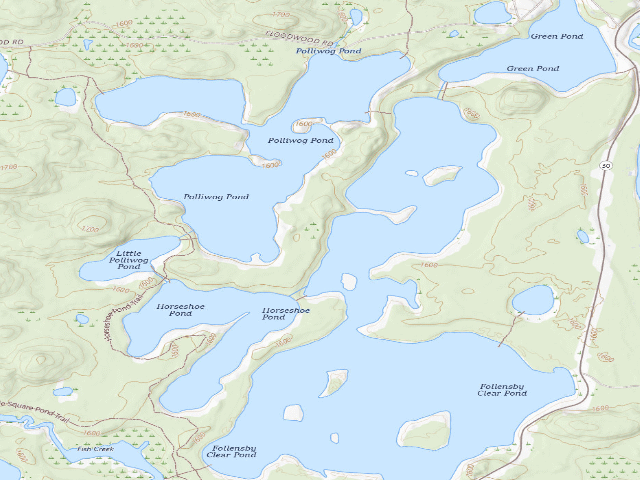 USGS topographic map of Follensby Clear Pond Site (Saranac Lakes Wild Forest)
