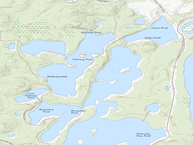 USGS topographic map of Follensby Clear Pond Site (Saranac Lakes Wild Forest)