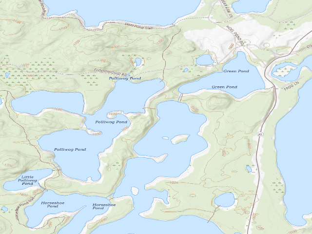 USGS topographic map of Follensby Clear Pond Site (Saranac Lakes Wild Forest)