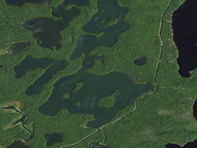 Aerial image of Follensby Clear Pond Site12 (Saranac Lakes Wild Forest)
