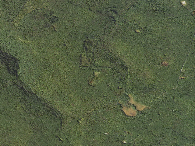Aerial image of Forbes State Forest roadside campsite 001