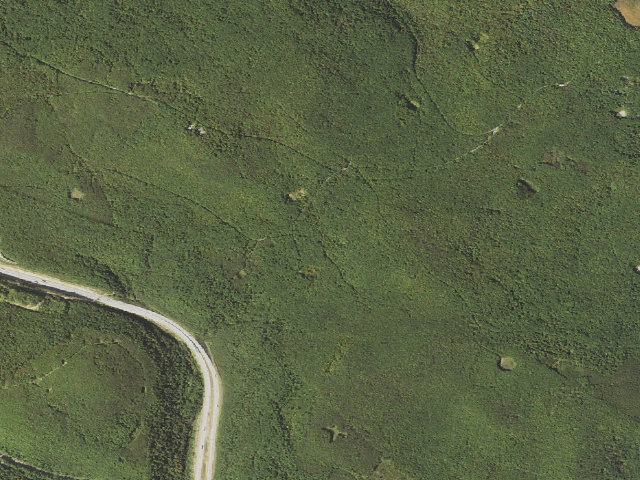 Aerial image of Forbes State Forest roadside campsite 002