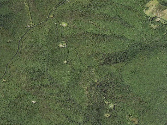 Aerial image of Forbes State Forest roadside campsite 003
