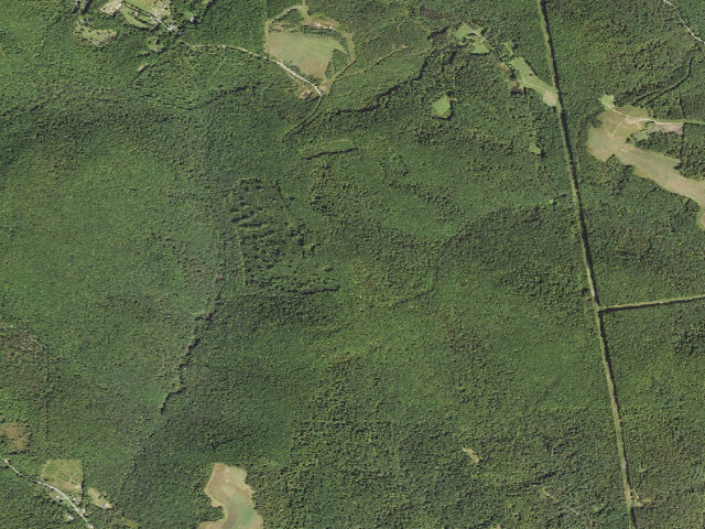 Aerial image of Forbes State Forest roadside campsite 004