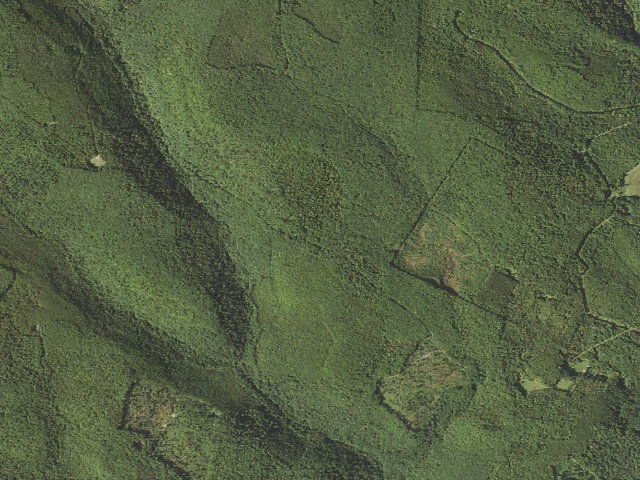Aerial image of Forbes State Forest roadside campsite 005