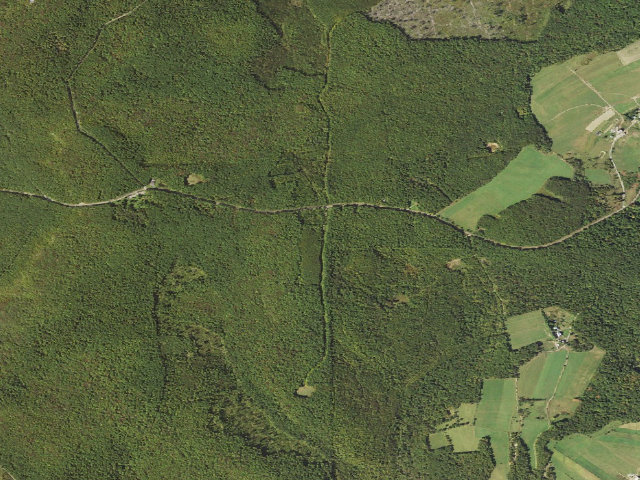 Aerial image of Forbes State Forest roadside campsite 006