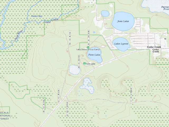 USGS topographic map of Fore Lake