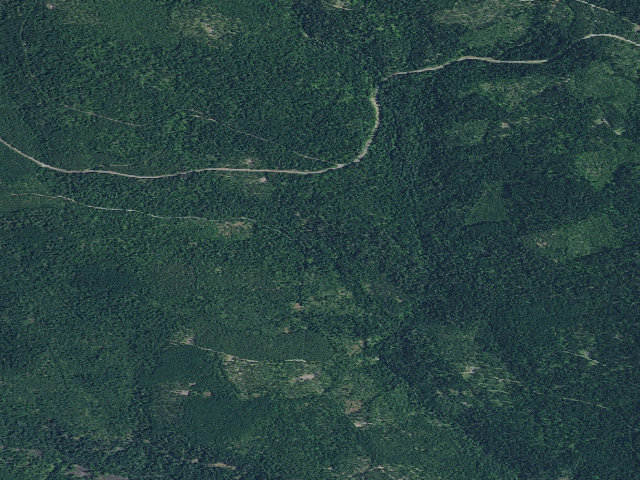 Aerial image of Forest Creek