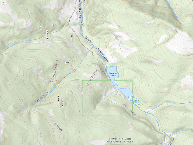 USGS topographic map of Forest Lake Cg