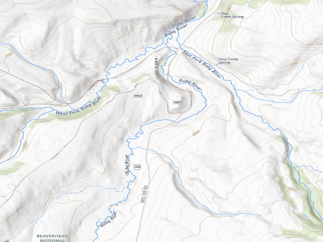 USGS topographic map of Forest Rd 100