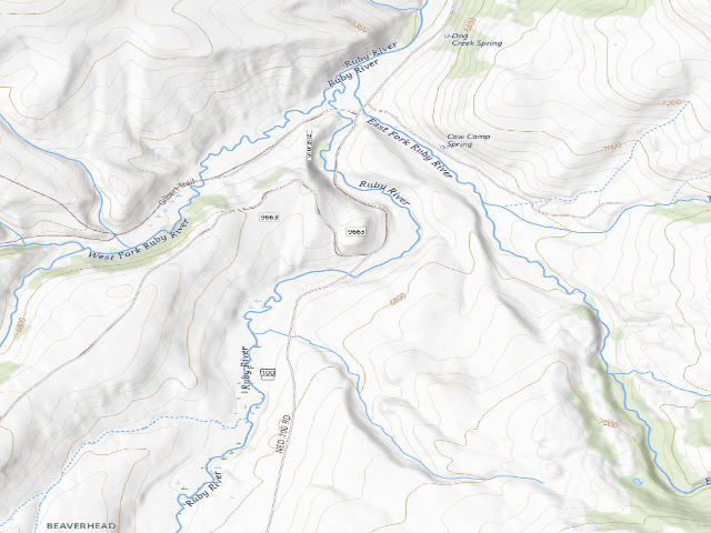 USGS topographic map of Forest Rd 100