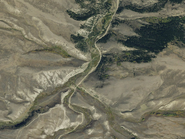 Aerial image of Forest Rd 100