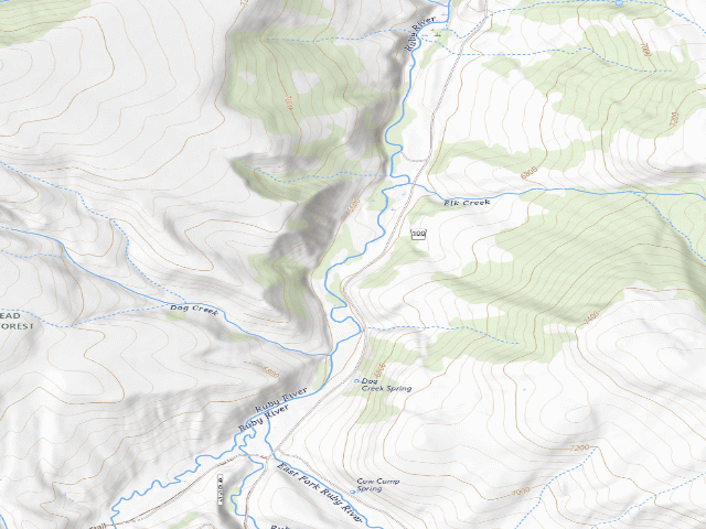 USGS topographic map of Forest Rd 100