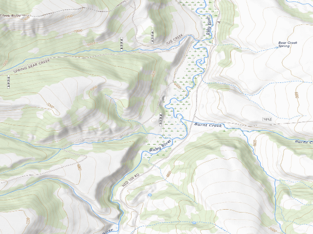 USGS topographic map of Forest Rd 100