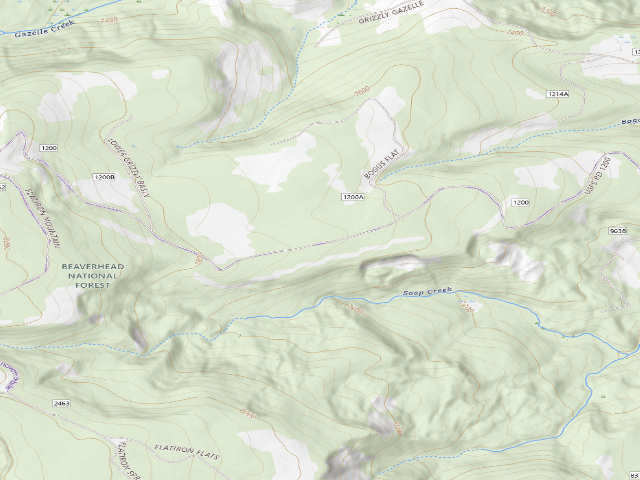 USGS topographic map of Forest Rd 1200