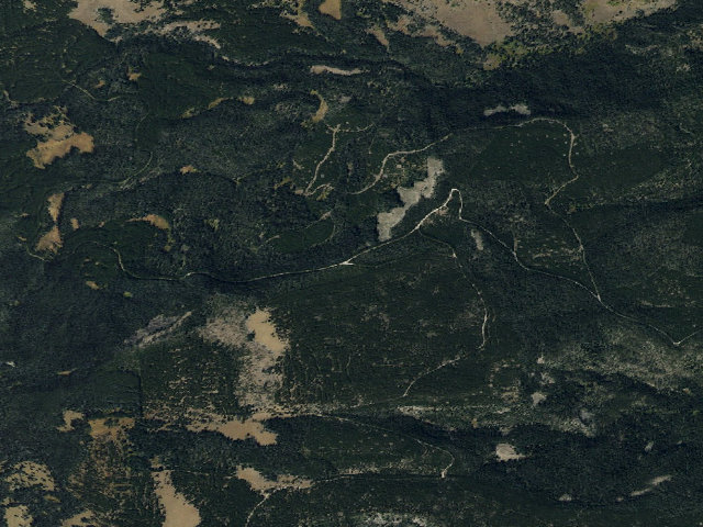 Aerial image of Forest Rd 1200