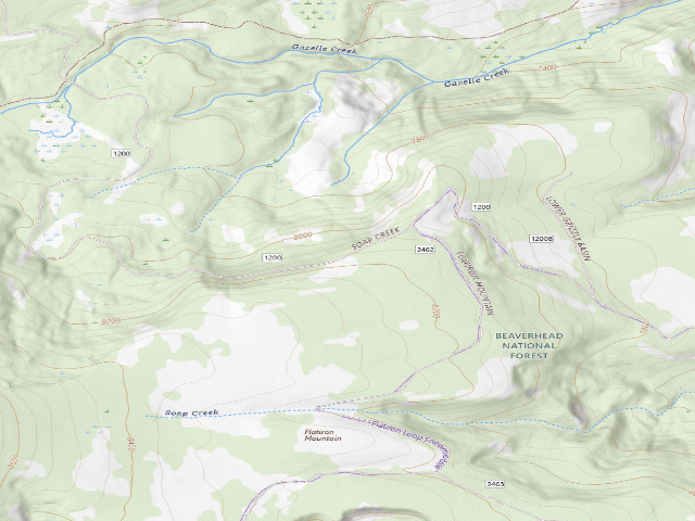 USGS topographic map of Forest Rd 1200