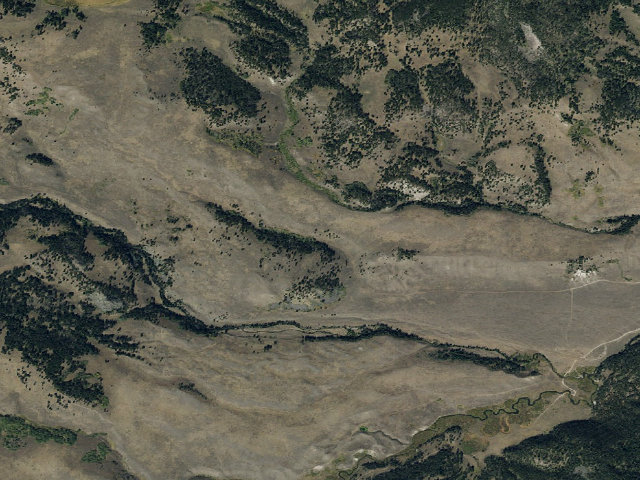 Aerial image of Forest Rd 1206