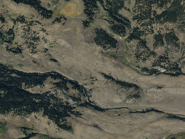 Aerial image of Forest Rd 1206