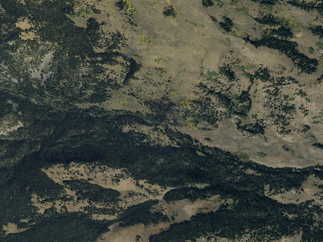 Aerial image of Forest Rd 1206