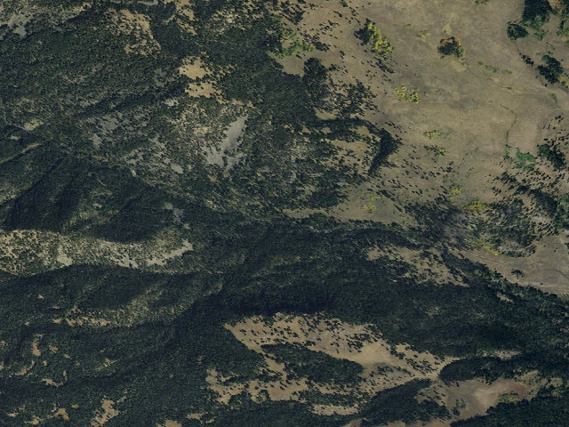 Aerial image of Forest Rd 1206