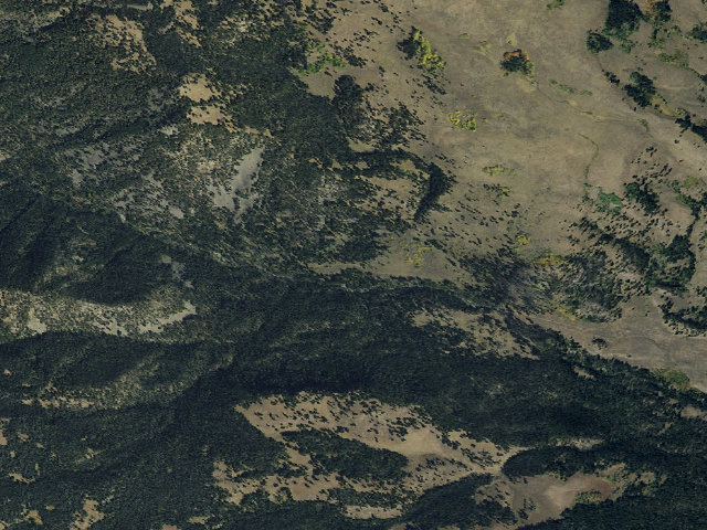 Aerial image of Forest Rd 1206