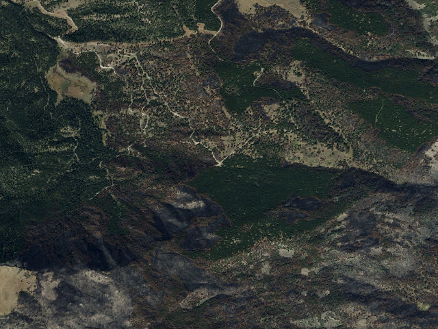 Aerial image of Forest Rd 1209