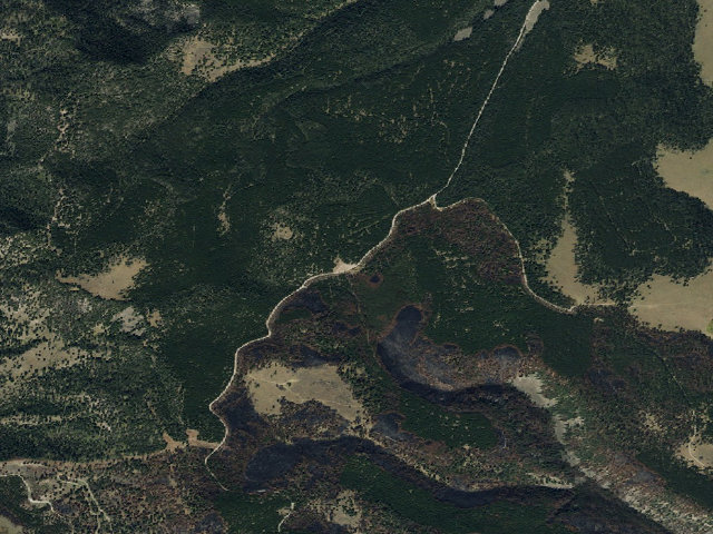 Aerial image of Forest Rd 1209